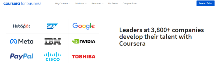 Coursera Corporate Training Options